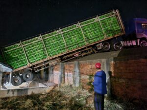 Desgovernado, caminhão carregado com frangos vivos atinge casa