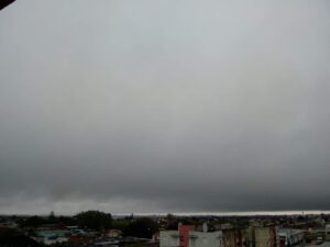 Chuva impede continuidade de plantio de trigo no RS