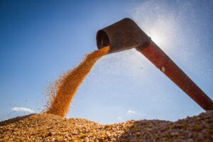 Taxação do agro no PR? Projeto polêmico do governo estadual será votado pelos deputados