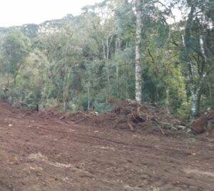 Caseiro de propriedade é preso por crime ambiental no PR