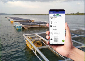 Conheça o aplicativo que transmite dados em tempo real para o piscicultor