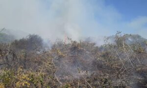 Com aumento de incêndios, cidades do MS declaram estado de emergência