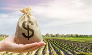 Portaria atualiza valores das taxas de classificação e reclassificação de produtos