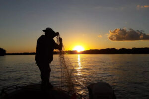 Dia Mundial da Pesca é marcado pela geração de empregos no setor