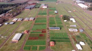 Novas tecnologias e oportunidades do mercado de trigo estarão no Show Rural de Inverno