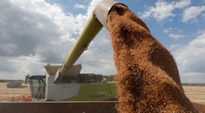 Campanha com apoio brasileiro arrecada fundos para reconstrução do cooperativismo na Ucrânia