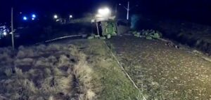 Motorista capota caminhão carregado de frangos vivos