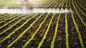 FPA deve tentar reverter proibição de defensivo muito usado no agro