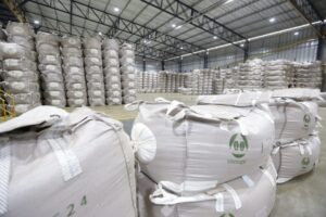Mapa formaliza intenção de cooperativismo para fortalecer setor cafeeiro