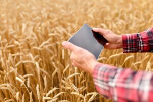 Ações estimulam desenvolver a inovação na agropecuária