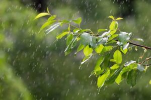 Será que a chuva veio pra ficar?