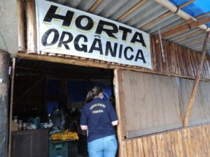 Venda irregular de produtos orgânicos é identificada pelo Mapa