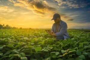 Conheça o projeto virtual que vai facilitar o trabalho de agricultores familiares