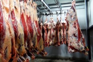 Origem do gado de frigoríficos no MT está na mira do Ministério Público Federal