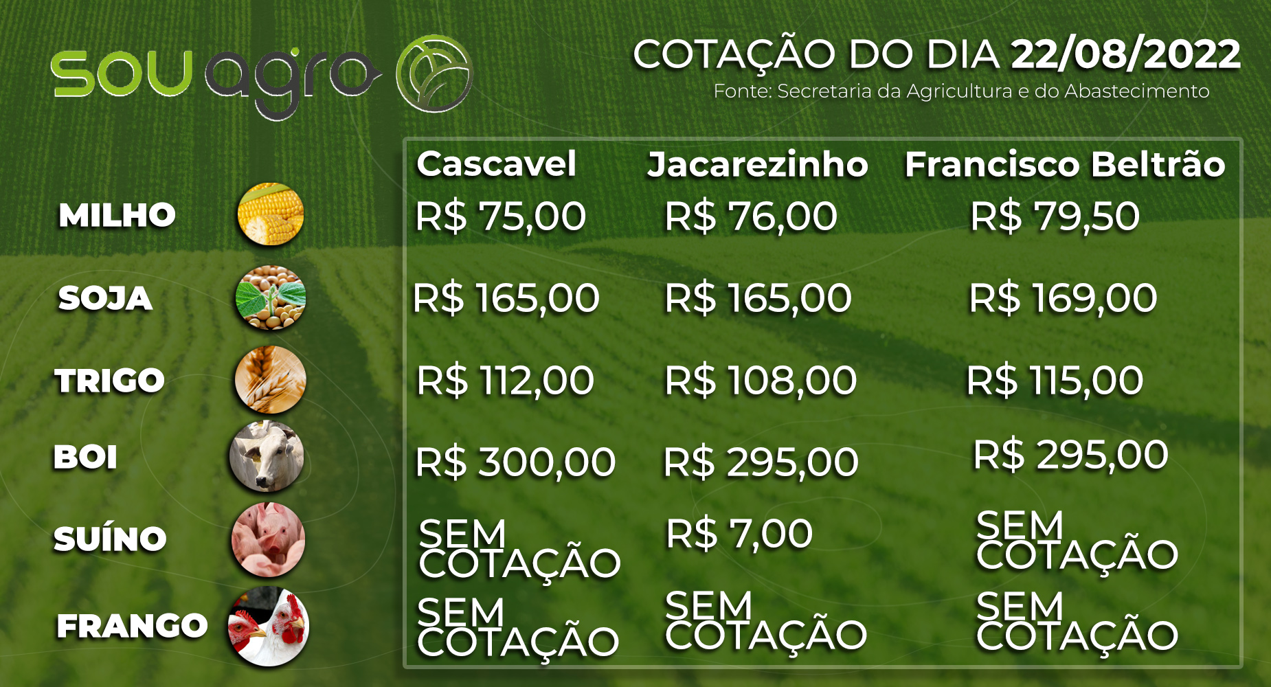 cotações