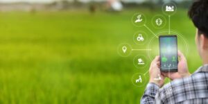 Programa Oeste em Desenvolvimento debate conectividade do meio rural