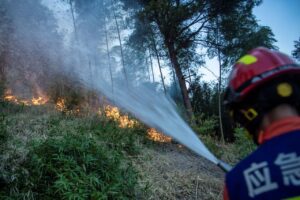 Onda de calor e incêndios geram temor sobre perdas na colheita na China