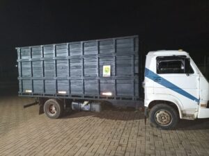 Mais contrabando de gado argentino é flagrado no Paraná e preocupação aumenta