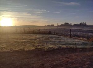 Fim de semana com geada e muito frio no Sul do País