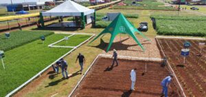 Show Rural de Inverno apresenta o melhor do trigo no Brasil