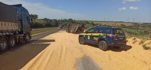 Carga de milho fica espalhada em rodovia após acidente