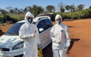 Simulado testa barreiras sanitárias contra febre aftosa