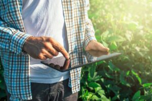 Acesso aos dados do Seguro Rural fica mais inovador e informativo