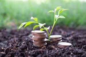 Crédito rural: volume do Plano Safra chega a R$ 25 bilhões