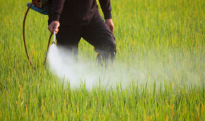 Justiça condena acusados de importar defensivos agrícolas ilegais