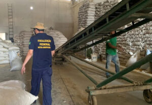 Falta de auditores agropecuários afeta exportação de grãos