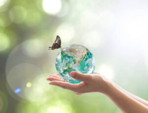 Congresso terá troca de experiências sobre biodiversidade