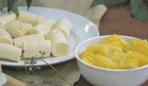 Agricultores terão versão mais produtiva de mandioca