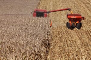Valor da produção agropecuária de 2022 deve ser de 1,2 trilhão