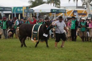 Animais de raça protagonizam desfile em feira internacional