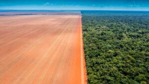Impactos no agro: Brasil, Argentina e Paraguai se unem contra legislação ambiental da União Europeia
