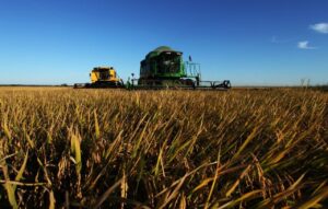 Projetos paranaenses do agro são premiados pelo Mapa por inovação
