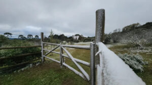 Em plena primavera teve neve no Sul; saiba o que o frio pode causar nas lavouras