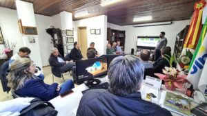 Saiba como leilões da Conab vão ajudar na cadeia produtiva da laranja no RS