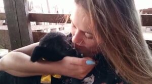 Conheça a ovelhinha Bity, que fez sucesso no Paraná depois de “dia de princesa” em Pet Shop