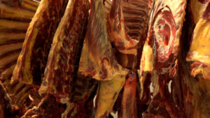 Cooperativas paranaenses investem cada vez mais na produção de carne bovina