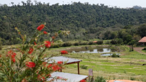 Fazenda e descanso: conheça um espaço bem especial de turismo rural no Paraná