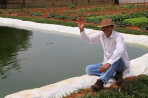 Produtor garante renda extra com produção integrada de peixes e hortaliças