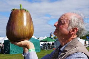 Que tal conhecer as frutas mais pesadas do mundo?