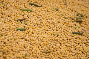 Alto custo da produção deixa agricultor brasileiro em desvantagem no mercado internacional