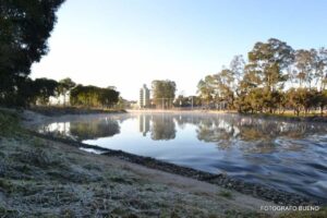 Com registros de geada, Paraná tem mais um dia atípico de primavera