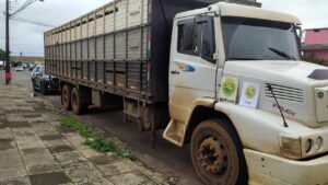 Polícia continua apreendendo gado contrabandeado da Argentina