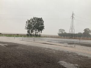 Chuva em excesso no PR já traz risco de doenças para soja e preocupa os produtores
