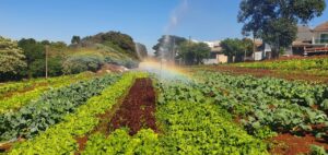 Produtores participam de curso sobre boas práticas em manipulação de alimentos