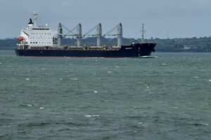 Mais 7 navios carregados com grãos deixam a Ucrânia