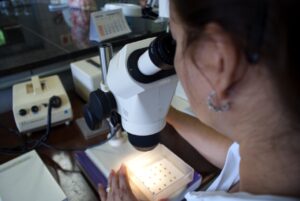 Mulheres cientistas apresentam projetos de pesquisa voltados ao agronegócio